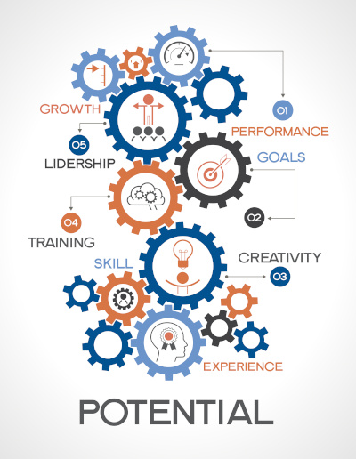 components of performance which lead to growth: goals, creativity, experience, skill, training, and leadership